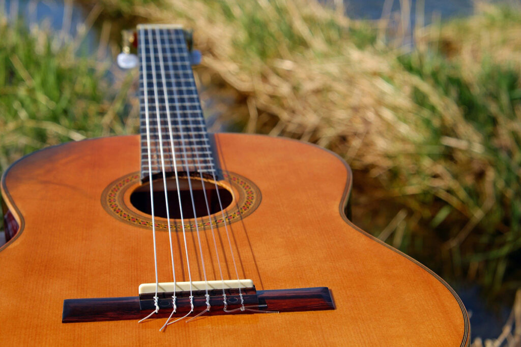 Gitarre liegt im Gras